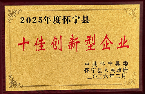全球案例 10